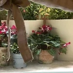 아파트 Dimora Gatto *